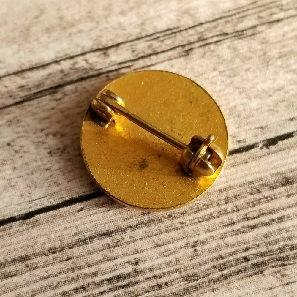 Vintage lapel pin D.S.L. blue enamel gold tone brooch DSL lapel
